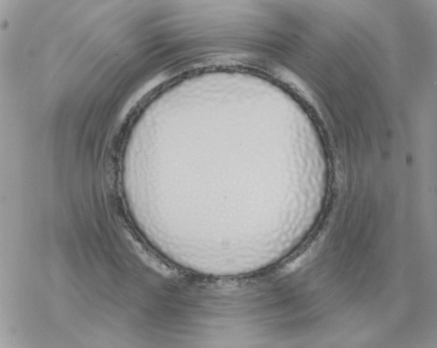 X0000077400827200611172102