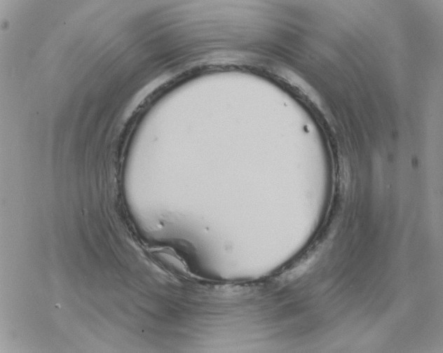 X0000077400829200611172102