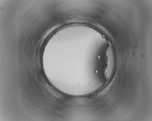 X0000077400830200611172102