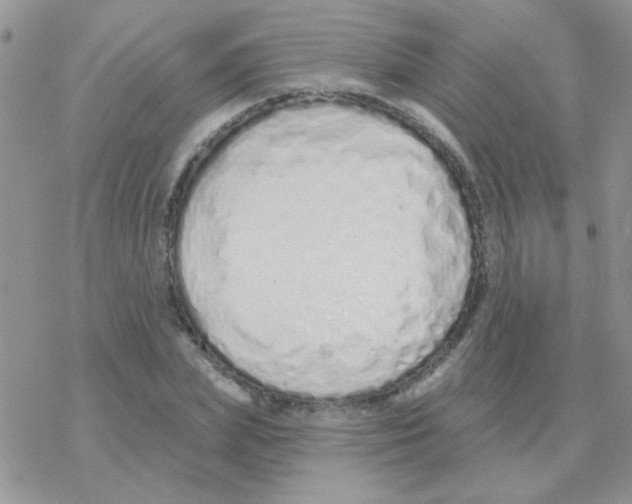 X0000077400831200611172102