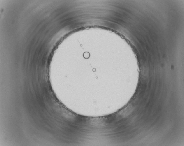 X0000077400832200611172102