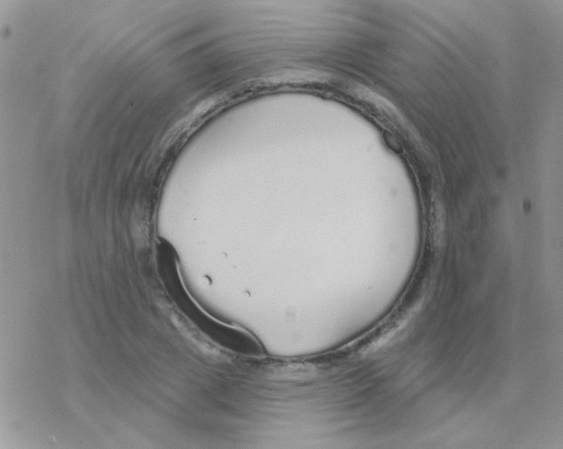 X0000077400833200611172102