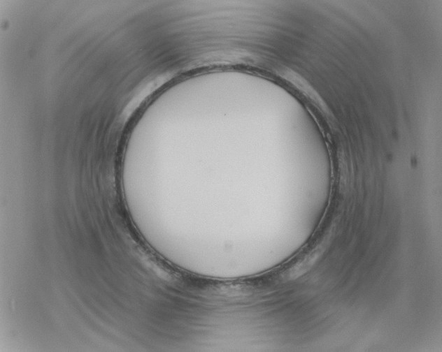 X0000077400834200611172102