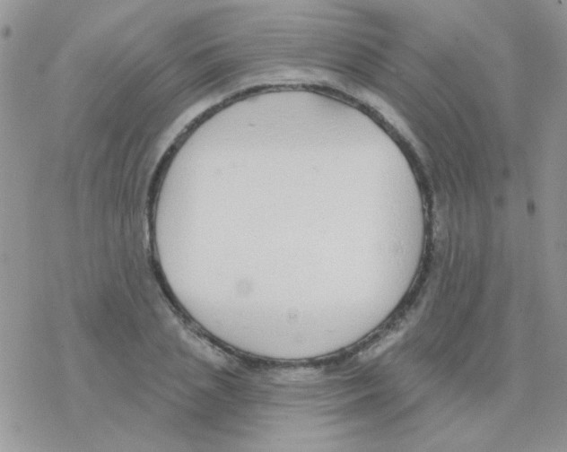 X0000077400837200611172102