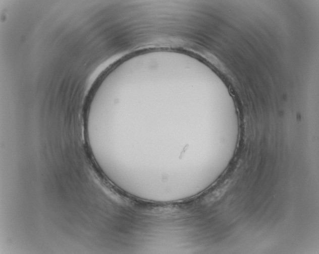 X0000077400838200611172102