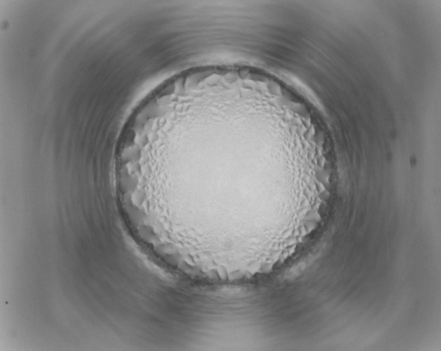 X0000077400839200611172102