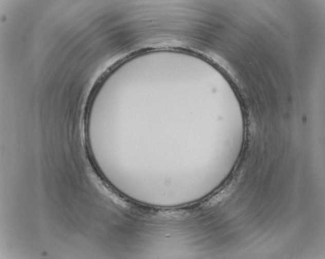 X0000077400840200611172102