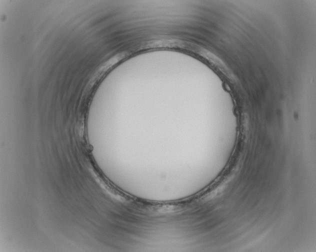 X0000077400841200611172102