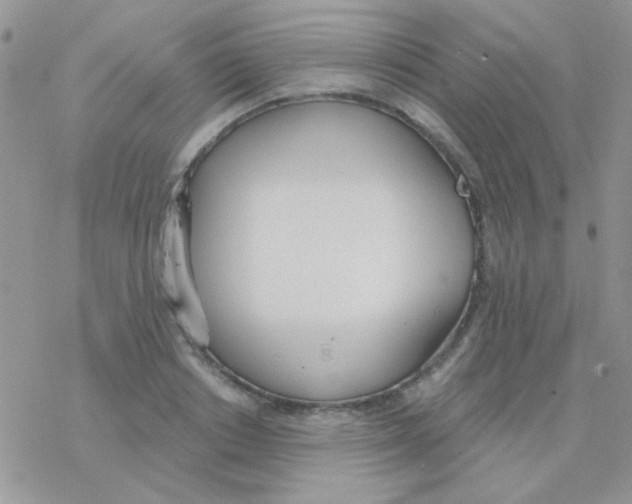 X0000077400842200611172102