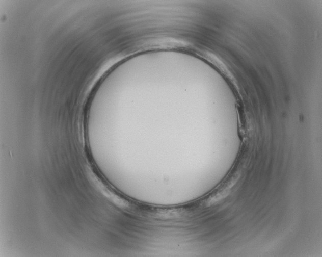 X0000077400843200611172102