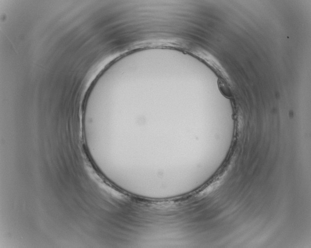 X0000077400844200611172102