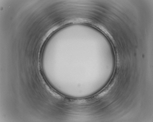 X0000077400845200611172102