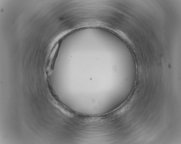 X0000077400846200611172102