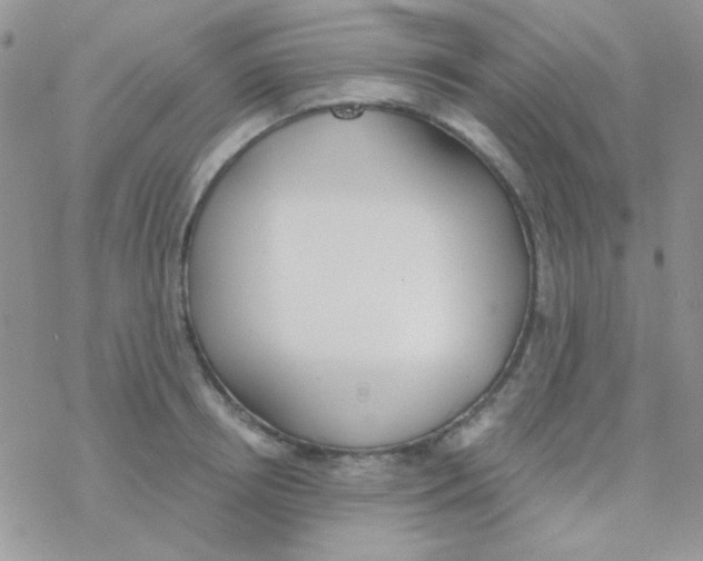 X0000077400850200611172102