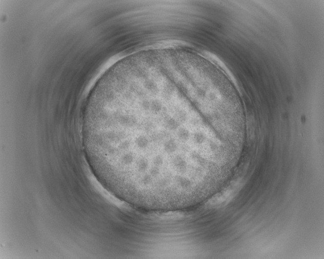 X0000077400851200611172102