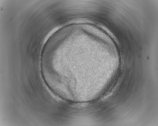 X0000077400853200611172102