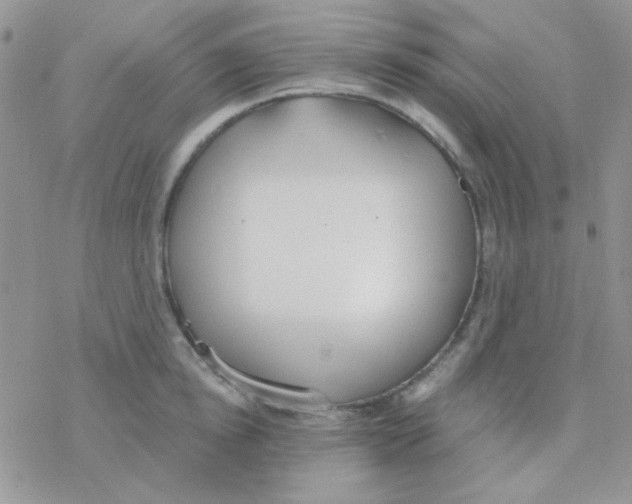 X0000077400854200611172102