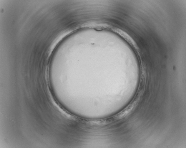 X0000077400855200611172102