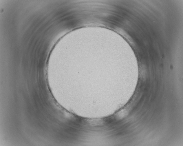 X0000077400856200611172102