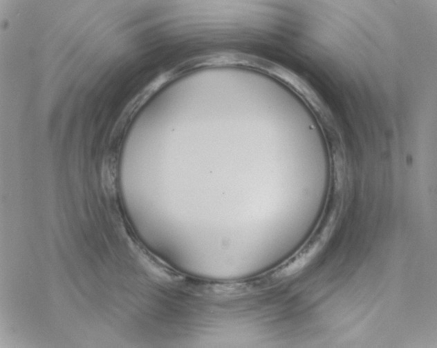 X0000077400857200611172102