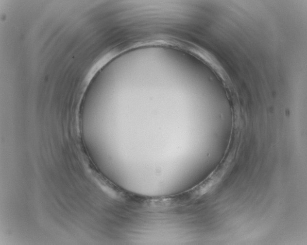 X0000077400858200611172102