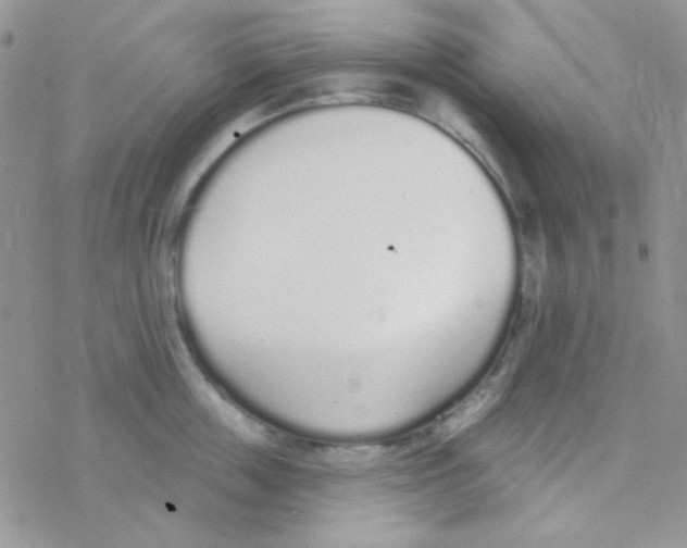 X0000077400859200611172102