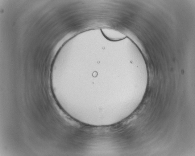 X0000077400861200611172102