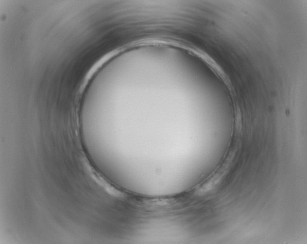 X0000077400862200611172102