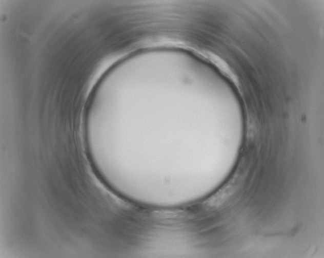 X0000077400863200611172102