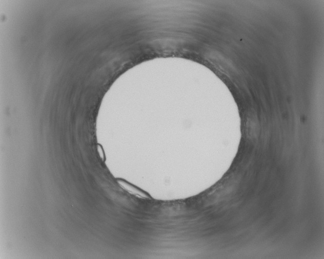 X0000077400865200611172101