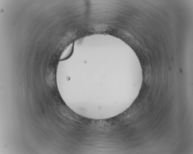 X0000077400866200611172101