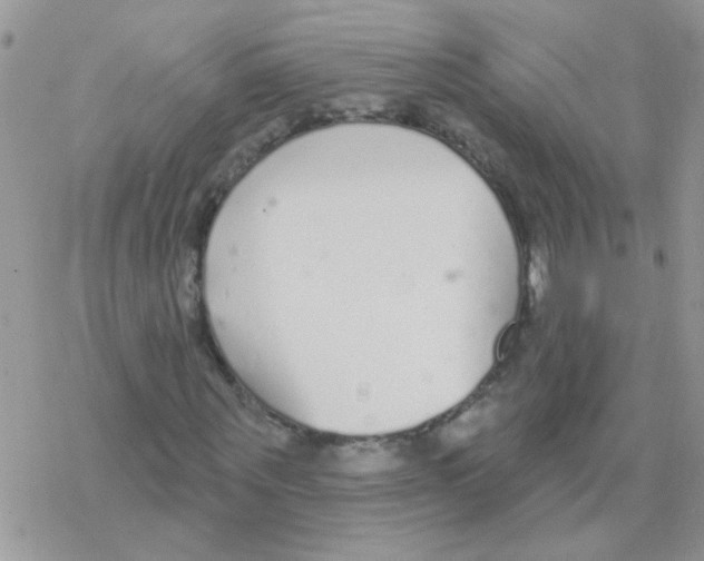 X0000077400867200611172101