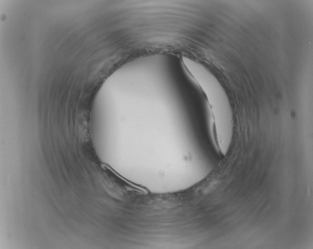 X0000077400868200611172101