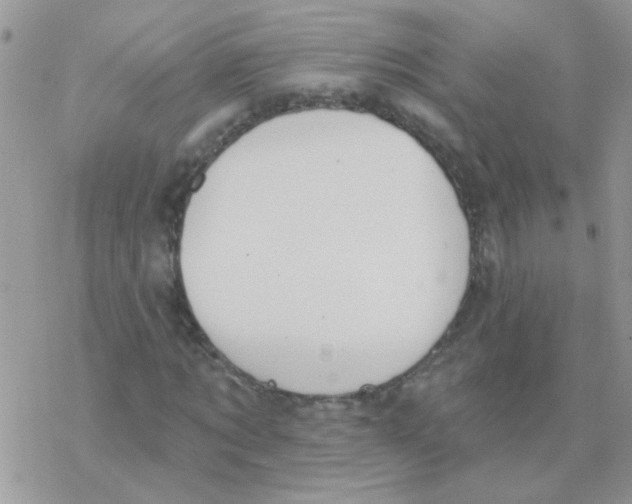 X0000077400869200611172101