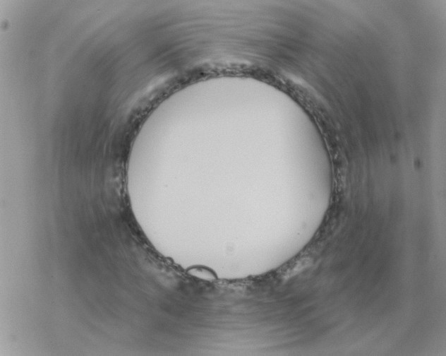 X0000077400870200611172101