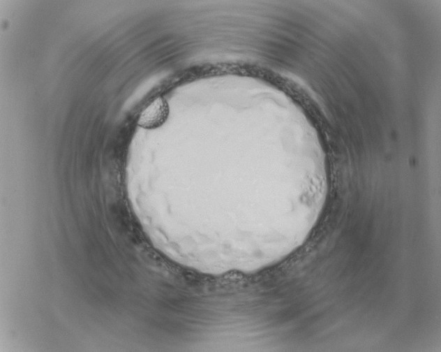 X0000077400871200611172101