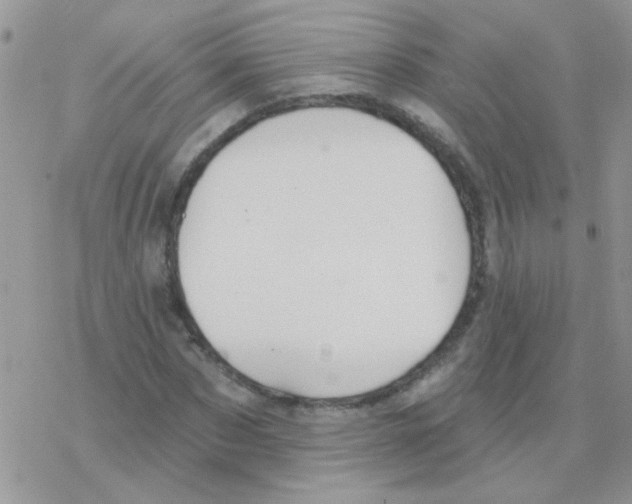 X0000077400873200611172101