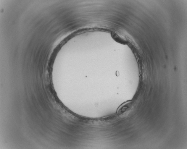 X0000077400876200611172101