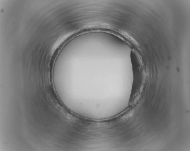 X0000077400877200611172101