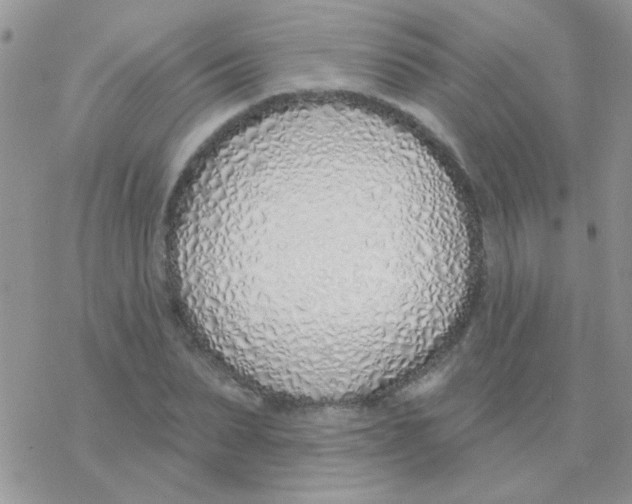 X0000077400879200611172101