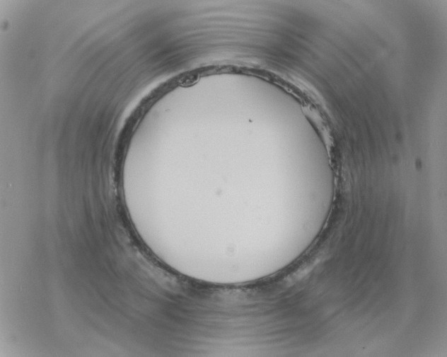 X0000077400880200611172101