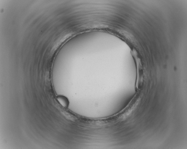 X0000077400881200611172101