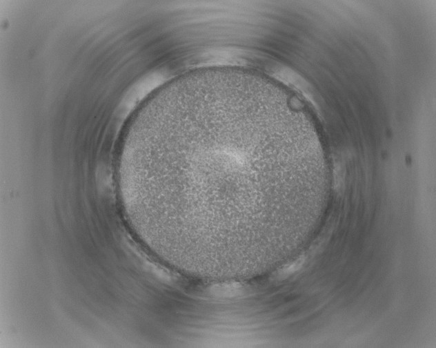 X0000077400882200611172101