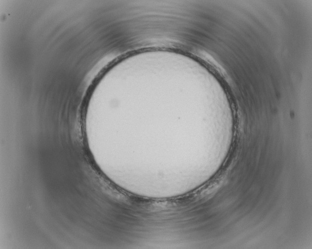 X0000077400883200611172101