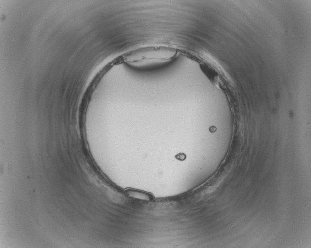 X0000077400884200611172101