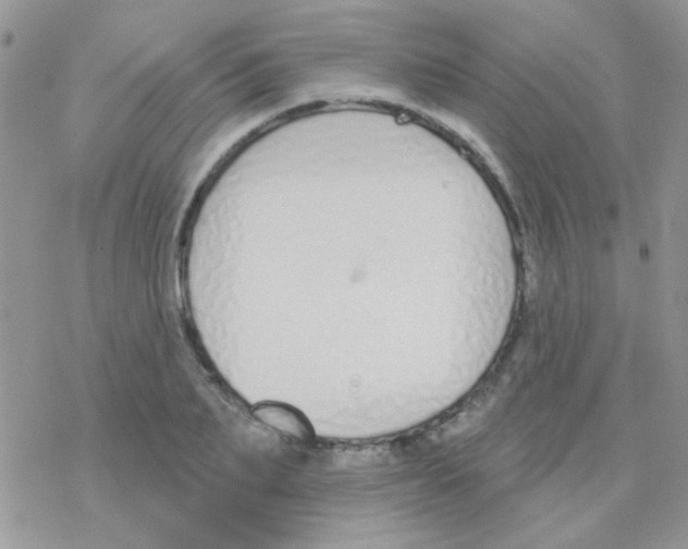 X0000077400887200611172101