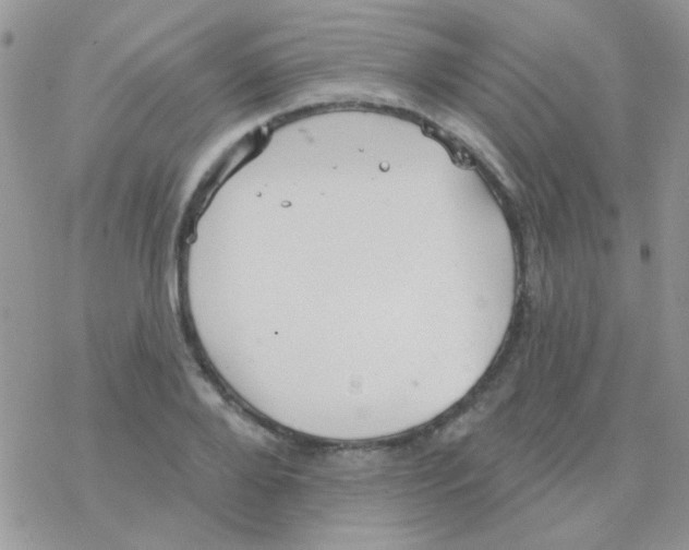 X0000077400888200611172101