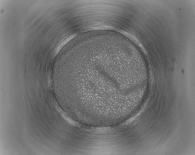 X0000077400889200611172101