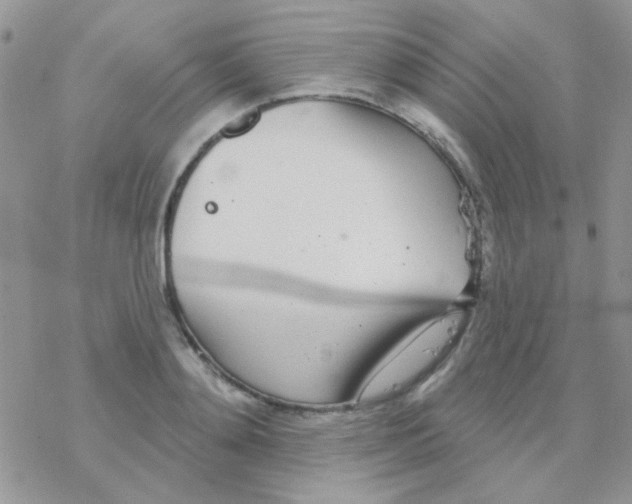 X0000077400892200611172101