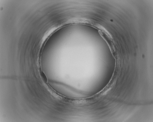 X0000077400893200611172101